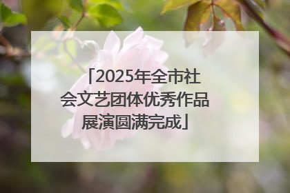 2025年全市社会文艺团体优秀作品展演圆满完成