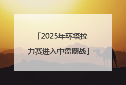 2025年环塔拉力赛进入中盘鏖战