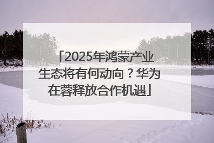 2025年鸿蒙产业生态将有何动向？华为在蓉释放合作机遇