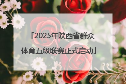 2025年陕西省群众体育五级联赛正式启动