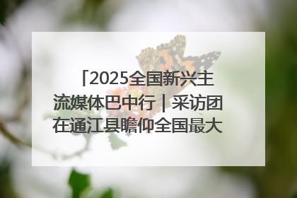 2025全国新兴主流媒体巴中行｜采访团在通江县瞻仰全国最大红军烈士陵园