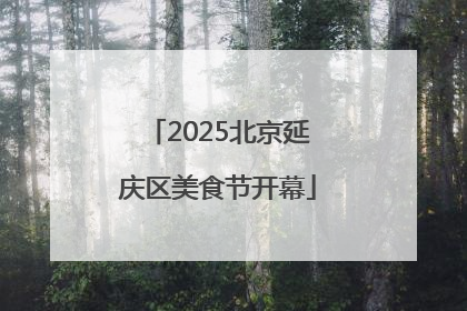 2025北京延庆区美食节开幕