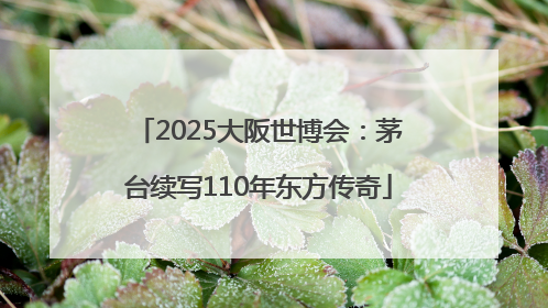 2025大阪世博会：茅台续写110年东方传奇