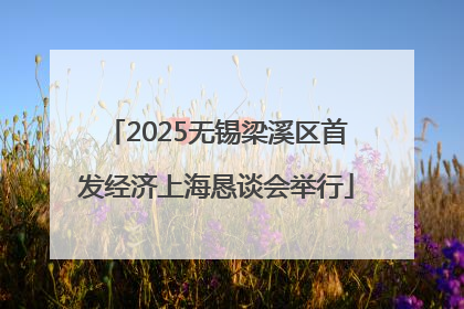 2025无锡梁溪区首发经济上海恳谈会举行