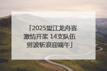 2025望江龙舟赛激情开桨 14支队伍劈波斩浪迎端午
