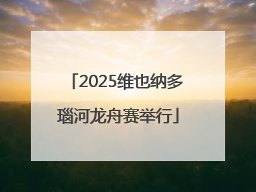 2025维也纳多瑙河龙舟赛举行
