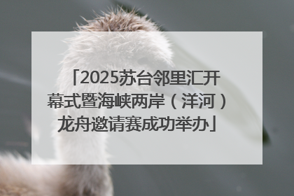 2025苏台邻里汇开幕式暨海峡两岸（洋河）龙舟邀请赛成功举办