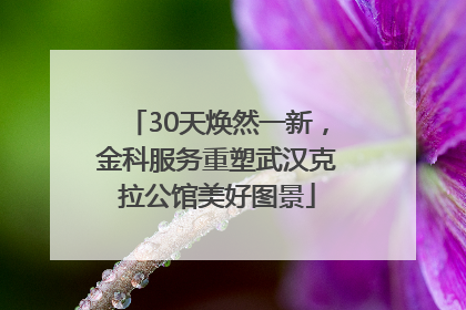 30天焕然一新，金科服务重塑武汉克拉公馆美好图景