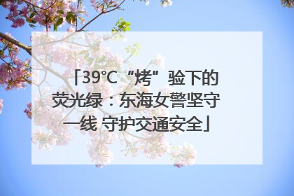 39℃“烤”验下的荧光绿：东海女警坚守一线 守护交通安全