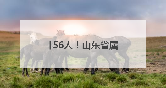 56人！山东省属事业单位招聘啦