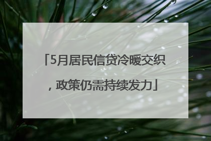 5月居民信贷冷暖交织，政策仍需持续发力