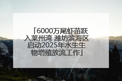 6000万尾虾苗跃入莱州湾 潍坊滨海区启动2025年水生生物增殖放流工作
