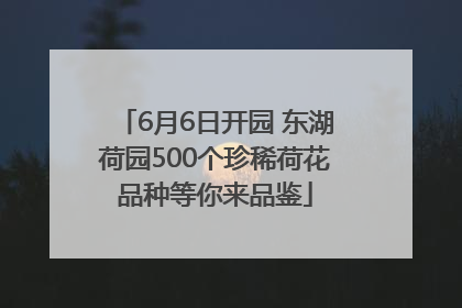 6月6日开园 东湖荷园500个珍稀荷花品种等你来品鉴