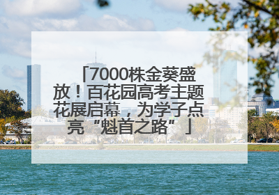 7000株金葵盛放！百花园高考主题花展启幕，为学子点亮“魁首之路”