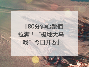80分钟心跳值拉满！“极地大马戏”今日开耍