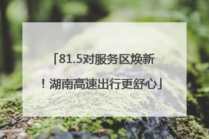 81.5对服务区焕新！湖南高速出行更舒心