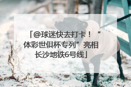 @球迷快去打卡！“体彩世俱杯专列”亮相长沙地铁6号线