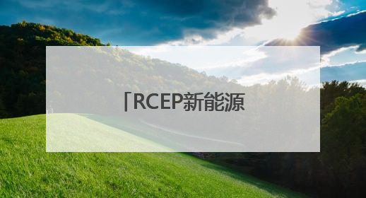 RCEP新能源盛会召开 共同发布《合肥倡议》